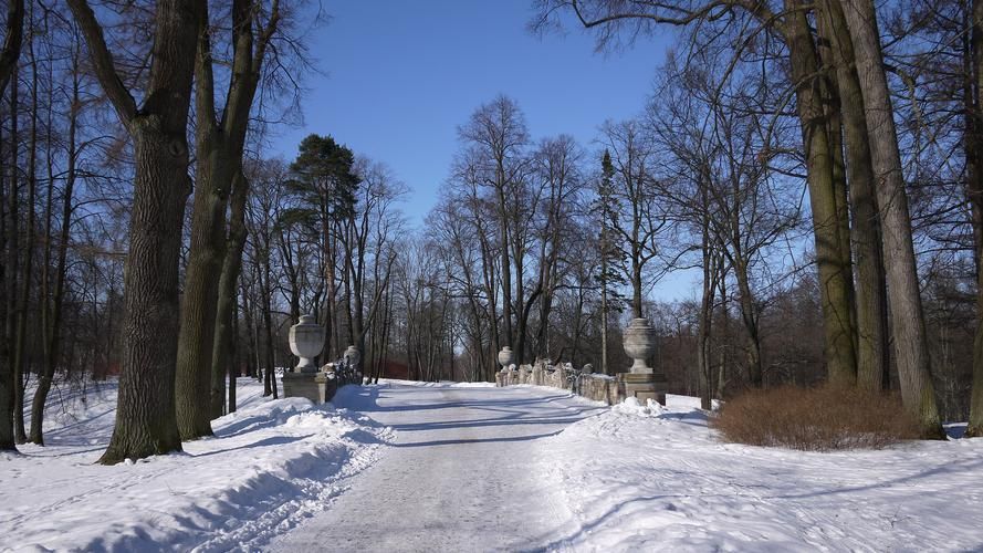 Новогодняя Петербургская Коллекция