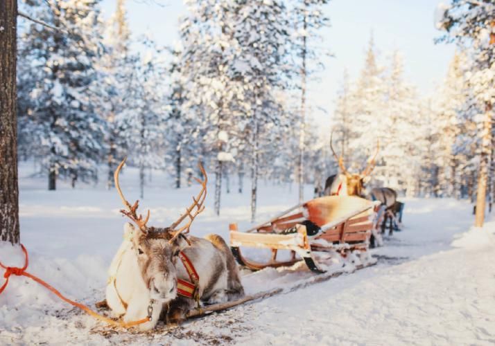 Новогоднее путешествие в Северную сказку