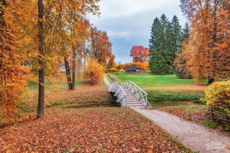 Пасека Романовых