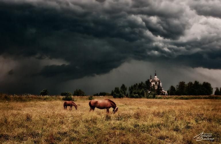 Автобус| Боровичи — в тени вековой Мсты