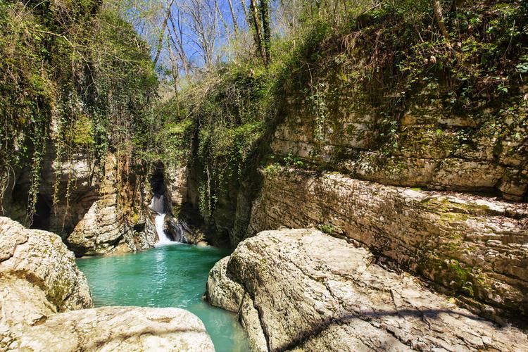 Автобус| Где море поёт, а пузырьки — шепчут сказки из Твери