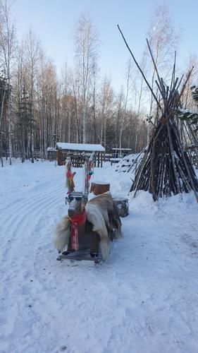 Автобус| Сарапул гастрономический