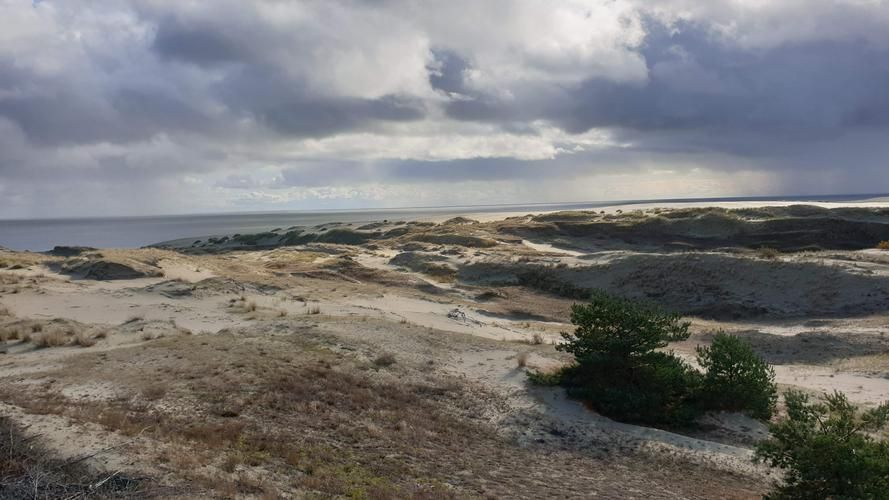 Вояж, который начинается с одного взгляда на море