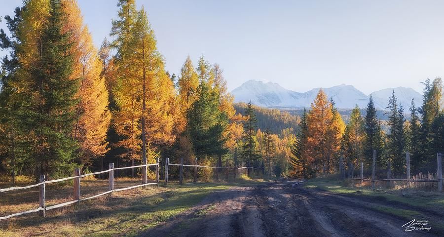 Автобус| Телецкое. Алтай из Челябинска