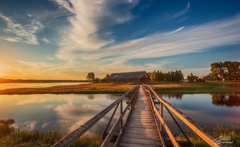 Пасека Романовых