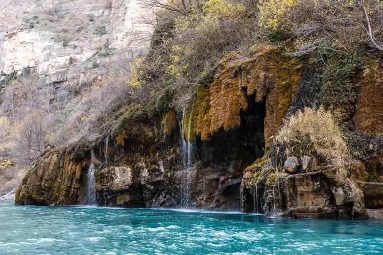 Кавказ. В лицах и красках