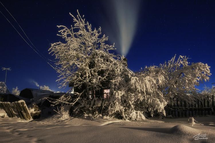 В гостях у Пушкина и Толстого: новогоднее путешествие по следам русских классиков