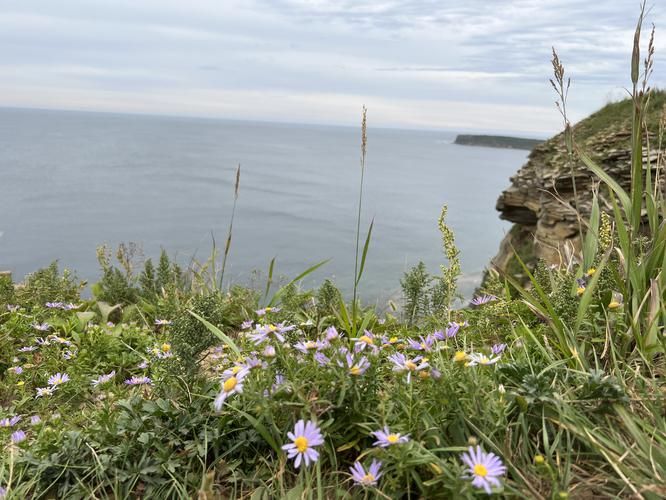 Приморье на колесах