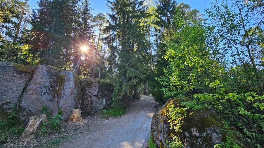 Выборг, где каждый крендель — история