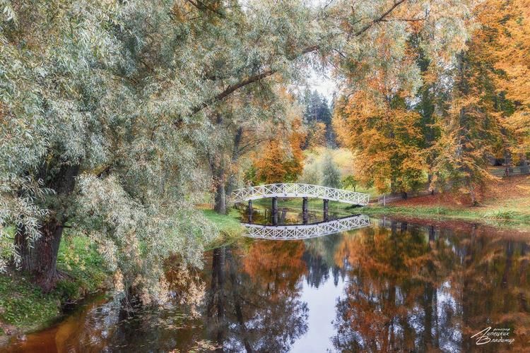 Псков. Ты перестаёшь считать время