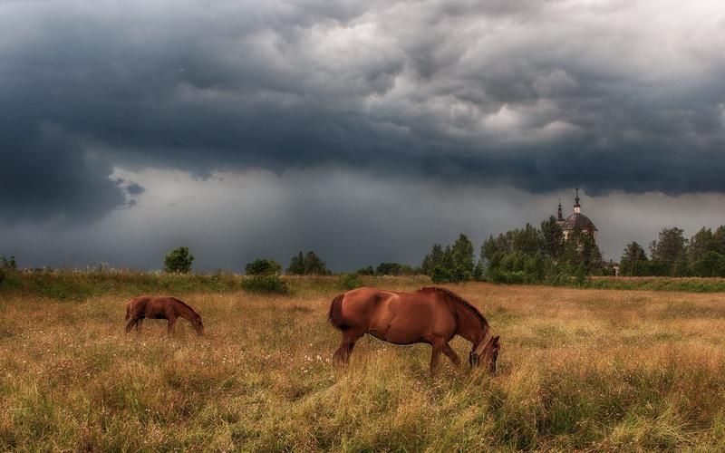 Эхо древней Торамы