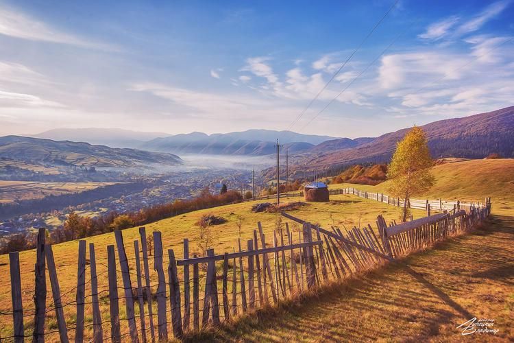 Новый год, где каждый гость — уже семья