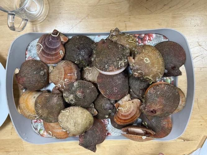 Арктическая симфония: шёпот льдов