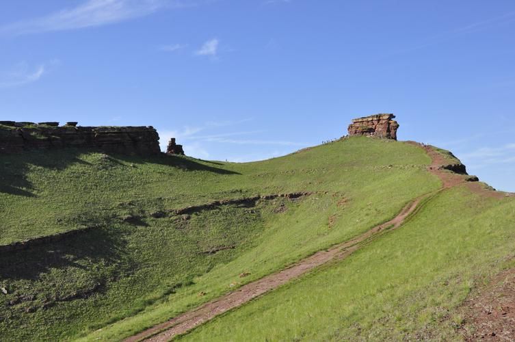 Камчатка в цветах: не просто дикая — яркая